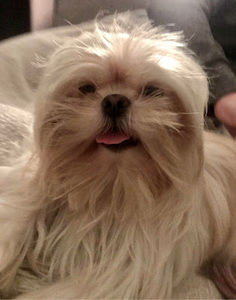 Meet your Posher, Niya